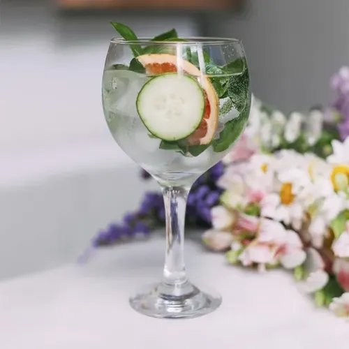 TAÇA GIN TONICA 600 ML